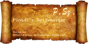 Pintér Szilveszter névjegykártya